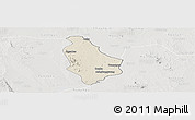 Shaded Relief Panoramic Map of Yesagyo, lighten, semi-desaturated