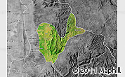 Satellite Map of Patheingyi, desaturated