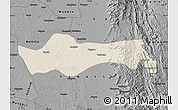 Shaded Relief Map of Pyawbwe, darken, desaturated