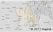 Shaded Relief 3D Map of Singu, desaturated