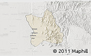 Shaded Relief 3D Map of Singu, lighten, semi-desaturated