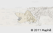 Shaded Relief Panoramic Map of Singu, lighten