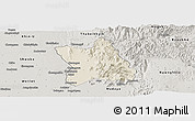 Shaded Relief Panoramic Map of Singu, semi-desaturated