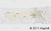 Shaded Relief Panoramic Map of Yamethin, lighten, desaturated