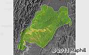 Satellite Map of Homalin, desaturated