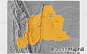 Political 3D Map of Kani, desaturated