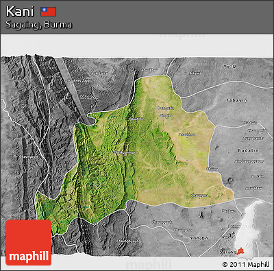 Satellite 3D Map of Kani, desaturated