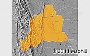 Political Map of Kani, desaturated