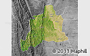 Satellite Map of Kani, desaturated