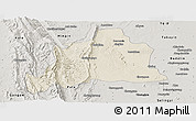 Shaded Relief Panoramic Map of Kani, semi-desaturated