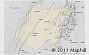 Shaded Relief 3D Map of Pinlebu, desaturated