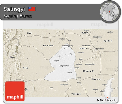 Classic Style 3D Map of Salingyi