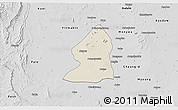 Shaded Relief 3D Map of Salingyi, desaturated