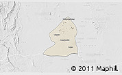 Shaded Relief 3D Map of Salingyi, lighten, desaturated
