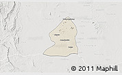 Shaded Relief 3D Map of Salingyi, lighten, semi-desaturated