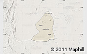 Shaded Relief Map of Salingyi, lighten