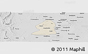 Shaded Relief Panoramic Map of Salingyi, desaturated