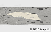 Shaded Relief Panoramic Map of Tabayin, darken, semi-desaturated