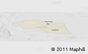 Shaded Relief Panoramic Map of Tabayin, lighten, desaturated