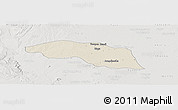 Shaded Relief Panoramic Map of Tabayin, lighten, semi-desaturated
