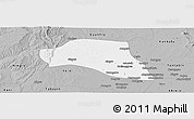 Gray Panoramic Map of Taze