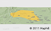 Savanna Style Panoramic Map of Taze