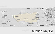 Shaded Relief Panoramic Map of Wetlet, desaturated