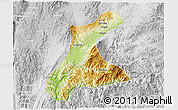 Physical 3D Map of Langkho, lighten, desaturated