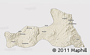 Shaded Relief 3D Map of Mong Nai, cropped outside