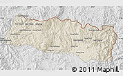 Shaded Relief Map of Mong Yang, lighten, desaturated