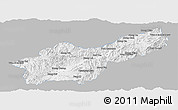 Gray Panoramic Map of Mong Yawng, single color outside