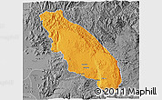 Political 3D Map of Nawnghkio, desaturated