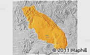 Political 3D Map of Nawnghkio, lighten, desaturated