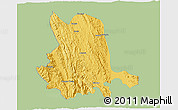 Savanna Style 3D Map of Pinlaung, single color outside