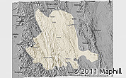 Shaded Relief 3D Map of Pinlaung, darken, desaturated