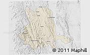 Shaded Relief 3D Map of Pinlaung, lighten, desaturated
