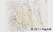 Shaded Relief 3D Map of Pinlaung, lighten, semi-desaturated