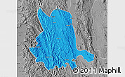 Political Map of Pinlaung, desaturated