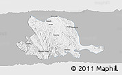 Gray Panoramic Map of Pinlaung, single color outside