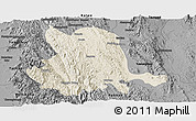 Shaded Relief Panoramic Map of Pinlaung, darken, desaturated