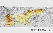 Physical Panoramic Map of Tachilek, lighten, desaturated