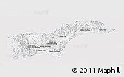 Silver Style Panoramic Map of Tachilek, single color outside