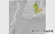 Satellite 3D Map of Yangon (Rangoon), lighten, desaturated