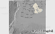 Shaded Relief 3D Map of Yangon (Rangoon), darken, desaturated