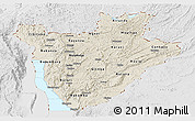 Shaded Relief Panoramic Map of Burundi, lighten, desaturated, land only