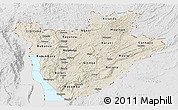 Shaded Relief Panoramic Map of Burundi, lighten, desaturated