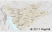 Shaded Relief Panoramic Map of Burundi, lighten, semi-desaturated