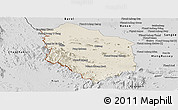 Shaded Relief Panoramic Map of Rattanak Mondul, desaturated