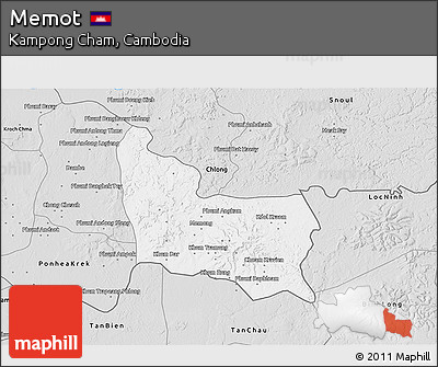 Silver Style 3D Map of Memot