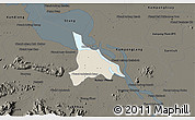Shaded Relief 3D Map of Baribo, darken